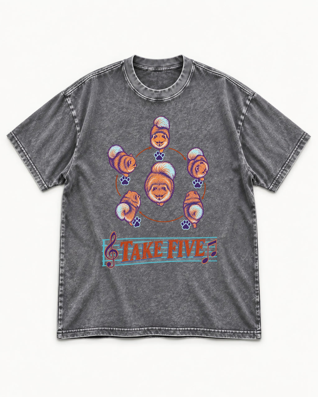 Pomeranian Take Five Choreography Cycle Graphic Washed Tee in Gray, flat lay product photo