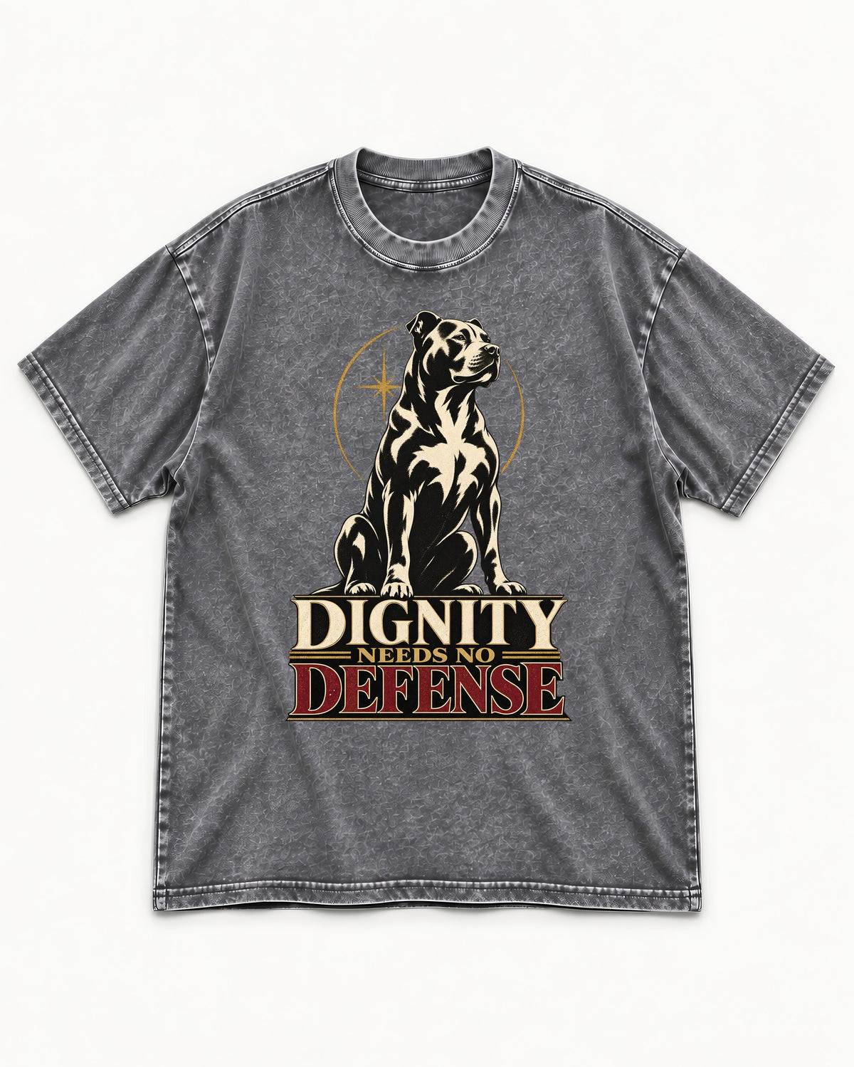 Pitbull Dignity Needs No Defense Seated Emblem Graphic Washed Tee in Gray, flat lay product photo