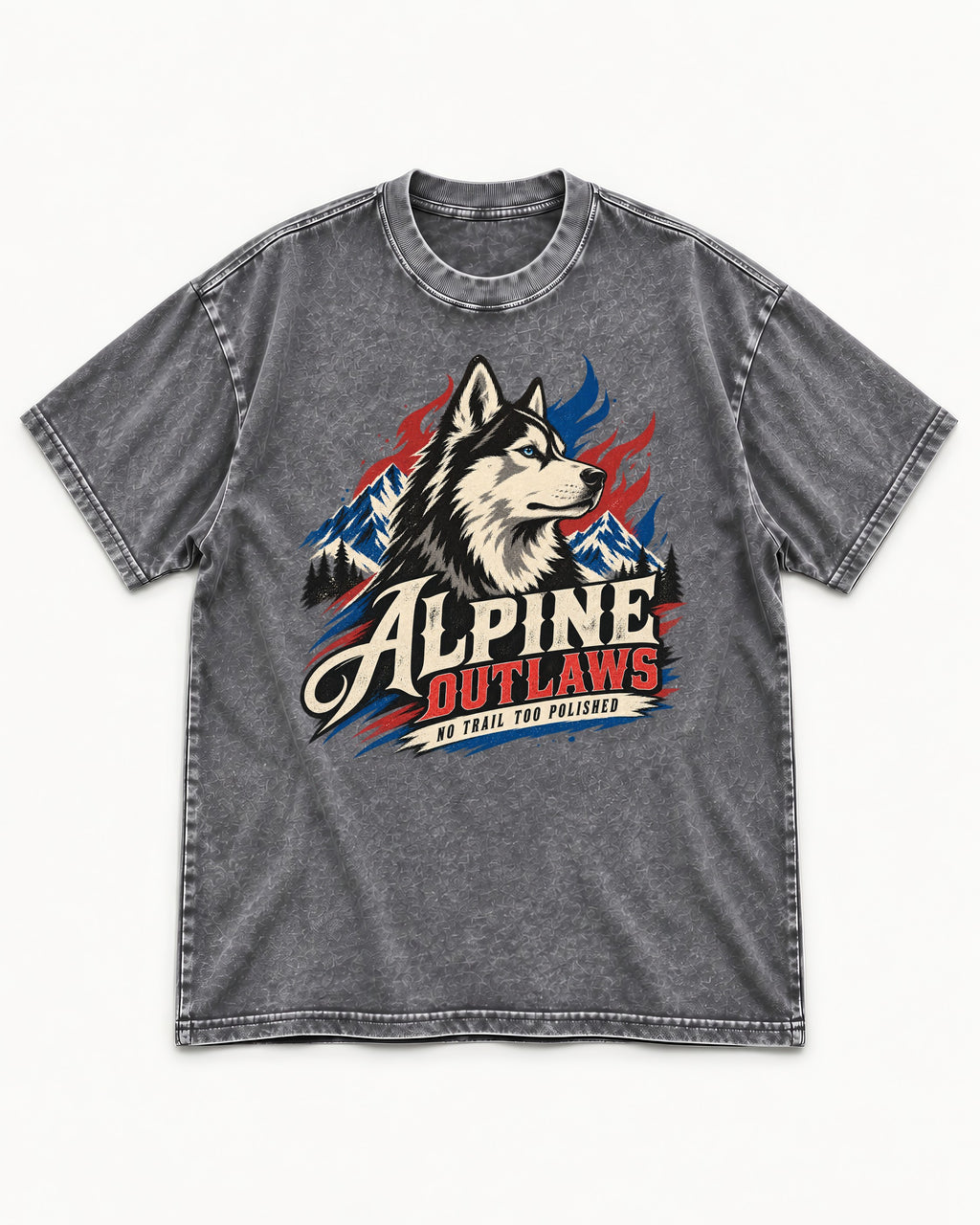 Husky Alpine Outlaws No Trail Too Polished Graphic Washed Tee in Gray, flat lay product photo