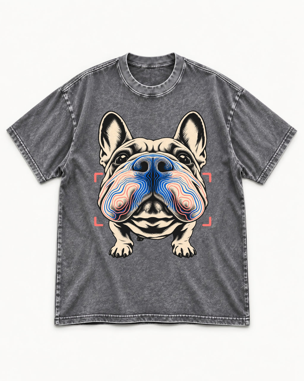 Frenchie Nose Topography Graphic Washed Tee in Gray, flat lay product photo
