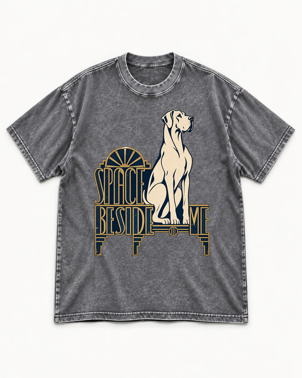 Great Dane's Space Beside Me Washed Tee in Gray, flat lay product photo