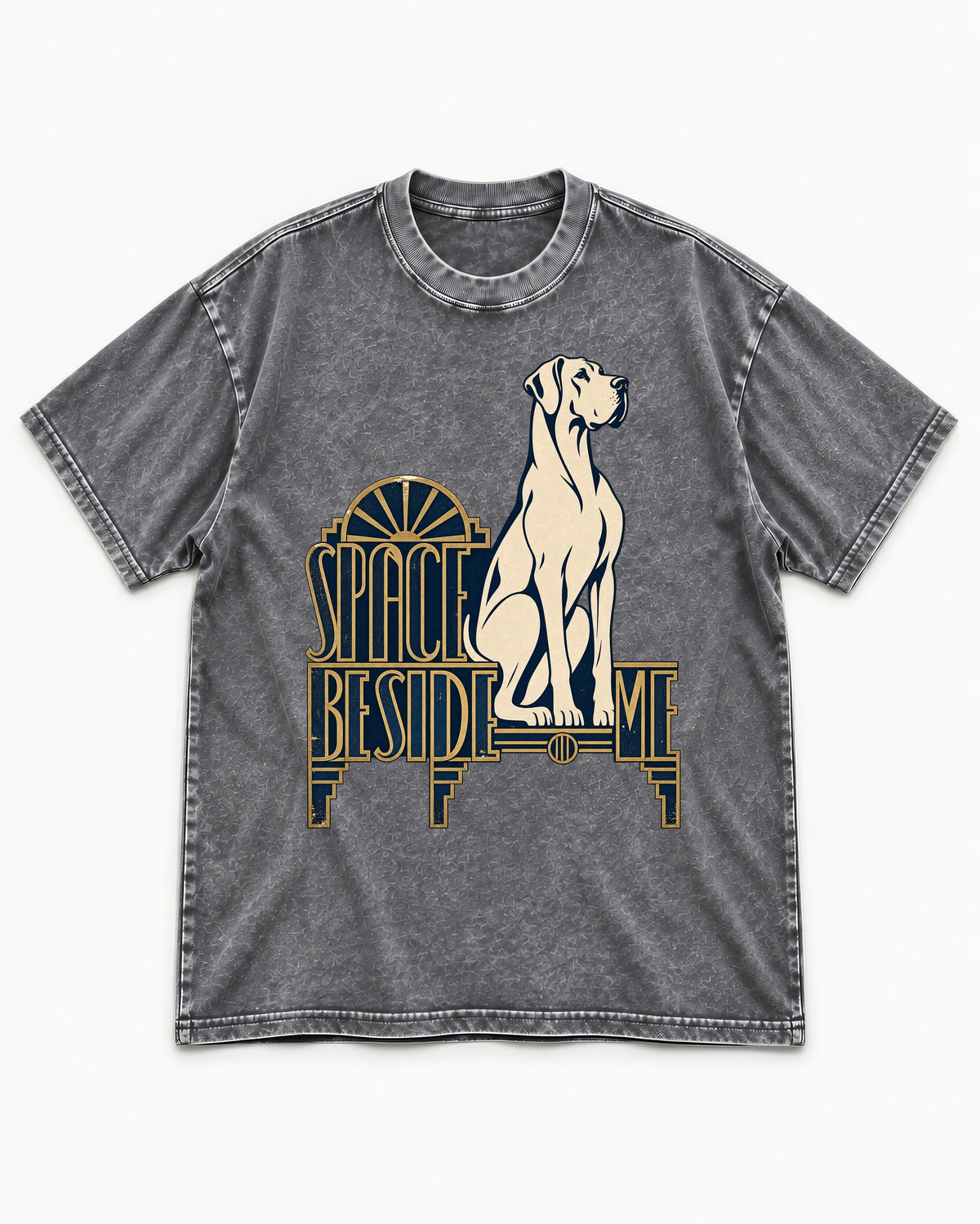 Great Dane's Space Beside Me Washed Tee in Gray, flat lay product photo
