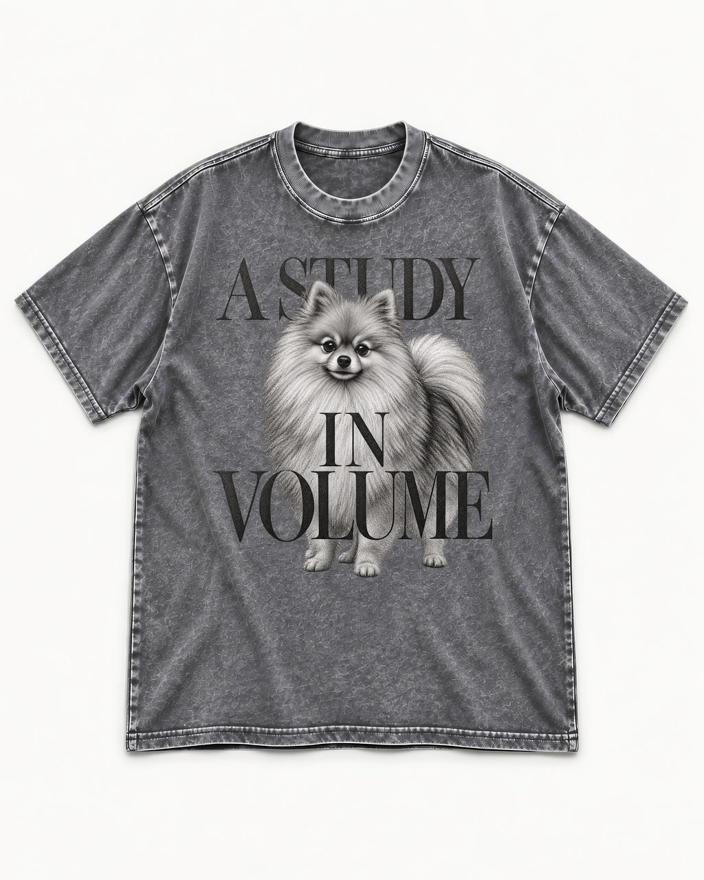 Pomeranian Study in Volume Washed Tee in Gray, flat lay product photo