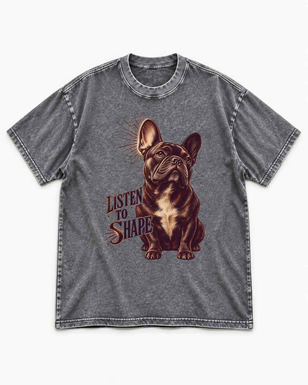 Listen to Shape Frenchie Washed Tee in Gray, flat lay product photo