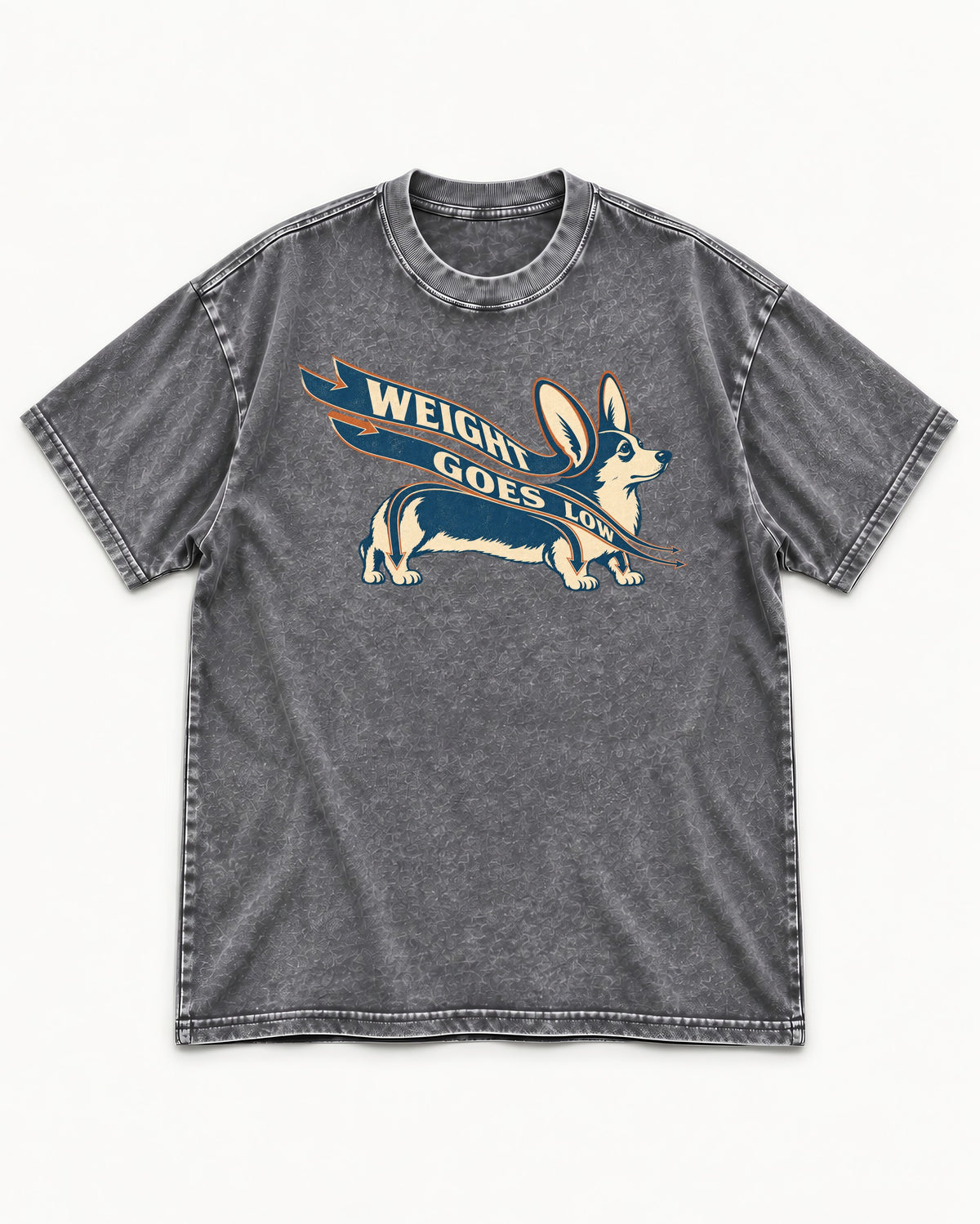 Corgi Weight Goes Low Ribbon Arrow Graphic Washed Tee in Gray, flat lay product photo