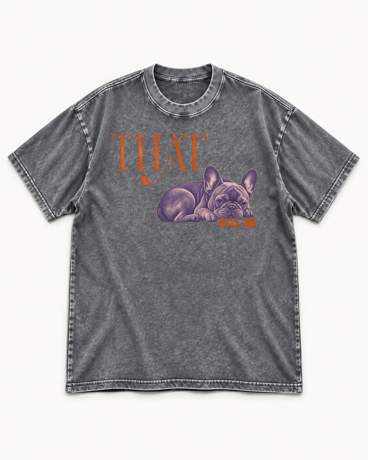 Frenchie That Will Do Resting Graphic Washed Tee in Gray, flat lay product photo