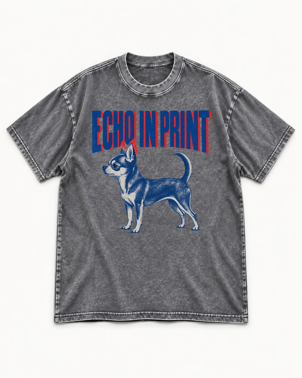 Chihuahua Echo Washed Tee in Gray, flat lay product photo