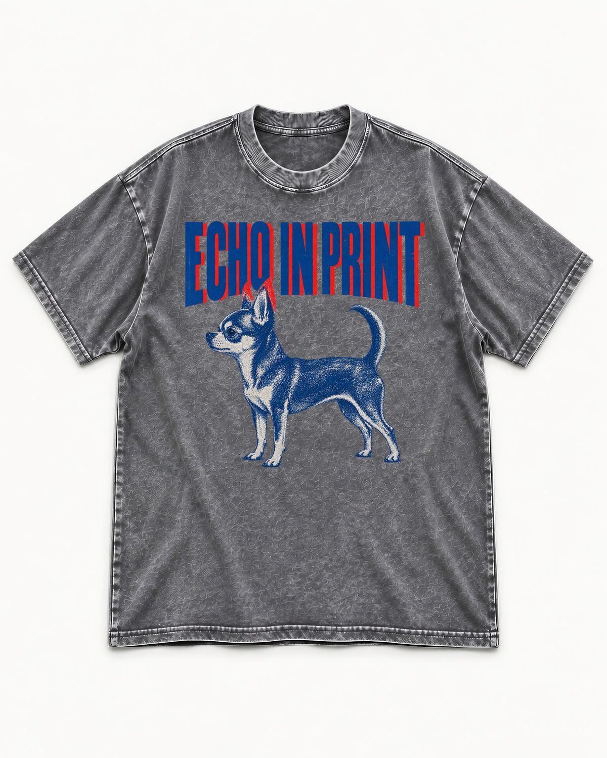 Chihuahua Echo Washed Tee in Gray, flat lay product photo