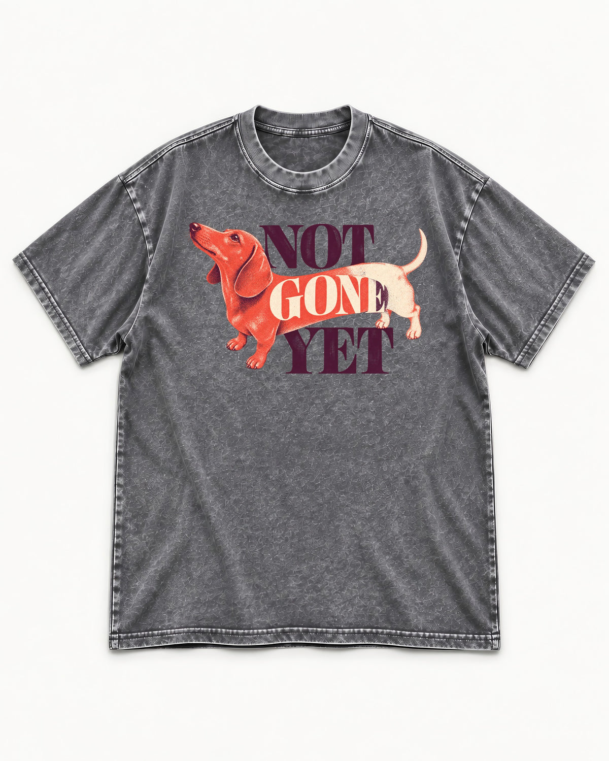 Dachshund Not Gone Yet Washed Tee in Gray, flat lay product photo