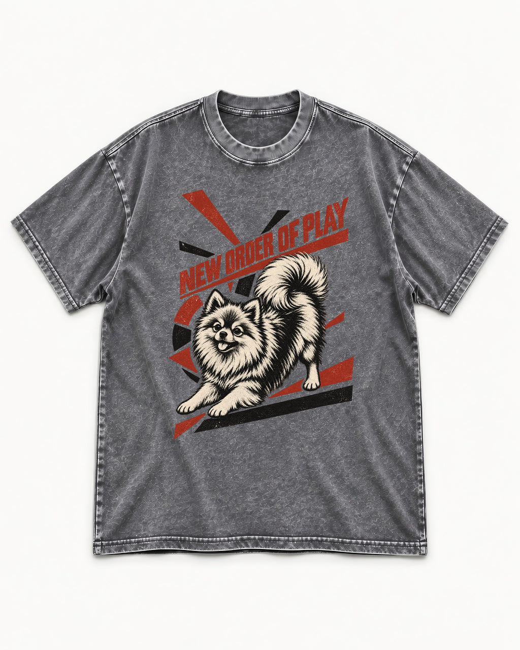 Pomeranian Order of Play Washed Tee in Gray, flat lay product photo