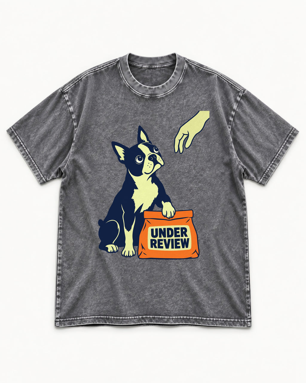 Boston Terrier Under Review Washed Tee in Gray, flat lay product photo