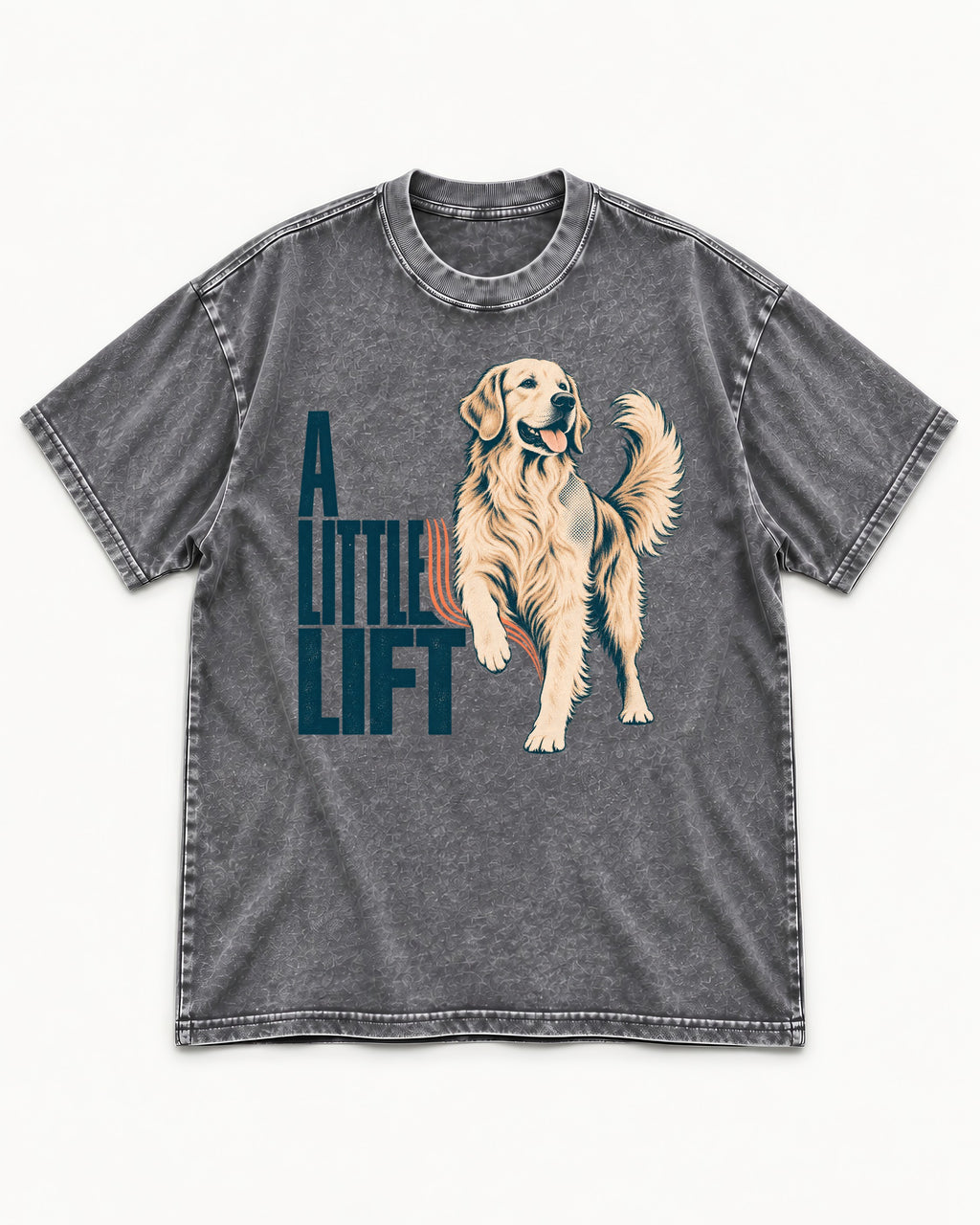 A Little Lift Golden Retriever Washed Tee in Gray, flat lay product photo