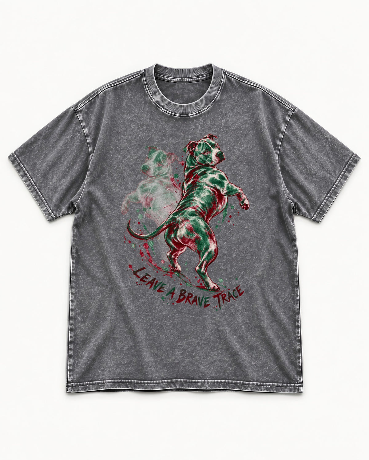 Pitbull's Brave Trace Washed Tee in Gray, flat lay product photo