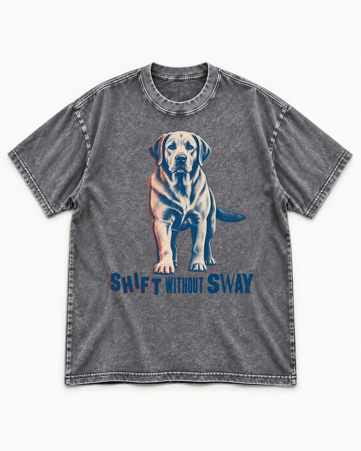 Shift Without Sway Labrador Retriever Washed Tee in Gray, flat lay product photo