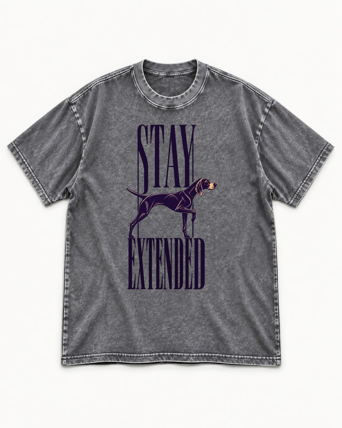 Stay Extended German Shorthaired Pointer Washed Tee in Gray, flat lay product photo