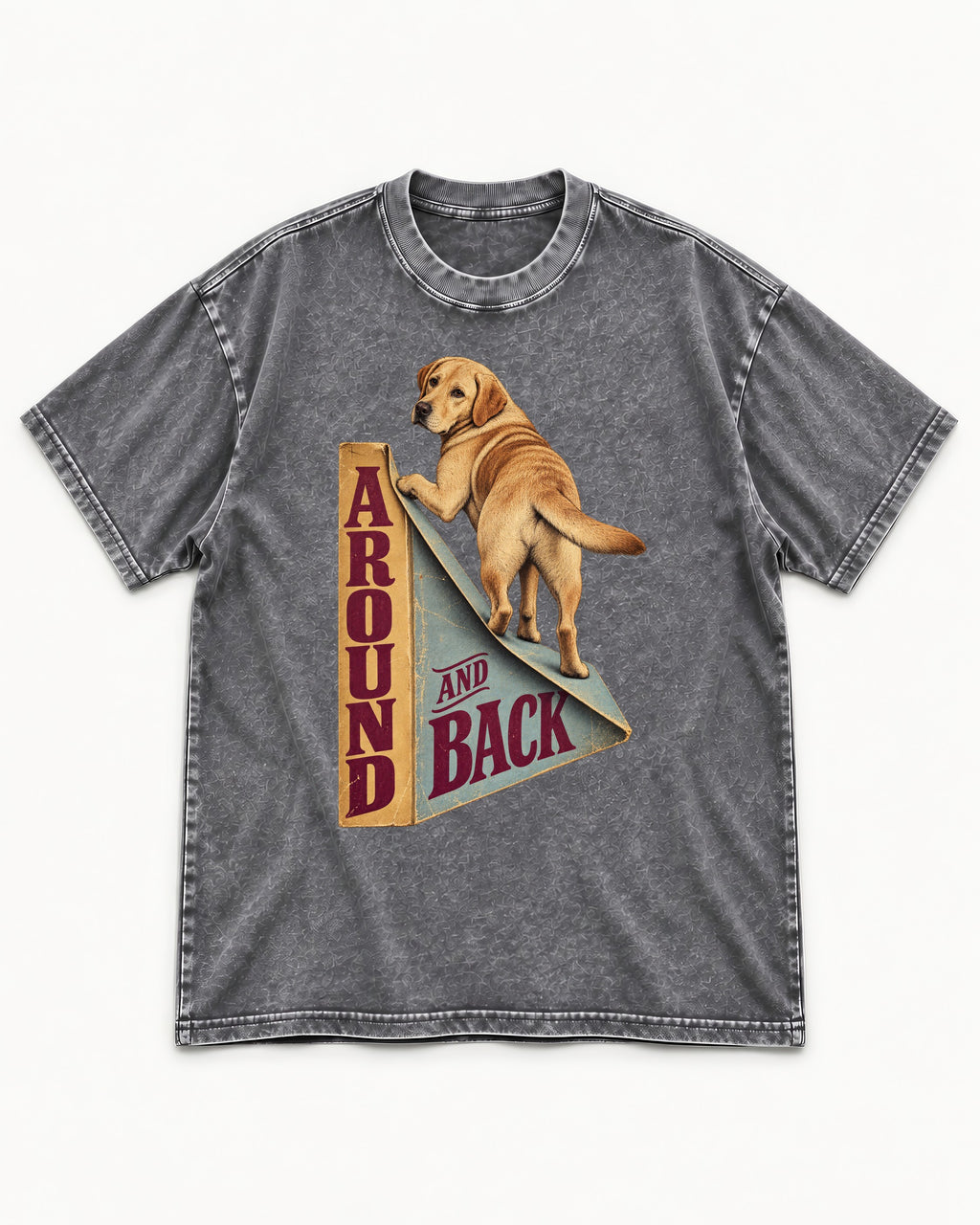 Labrador Retriever Around and Back Washed Tee in Gray, flat lay product photo