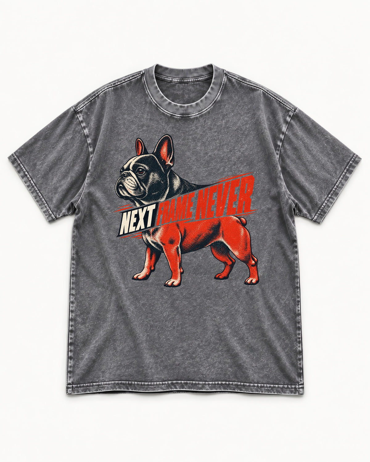 Frenchie Next Frame Never Motion Banner Graphic Washed Tee in Gray, flat lay product photo
