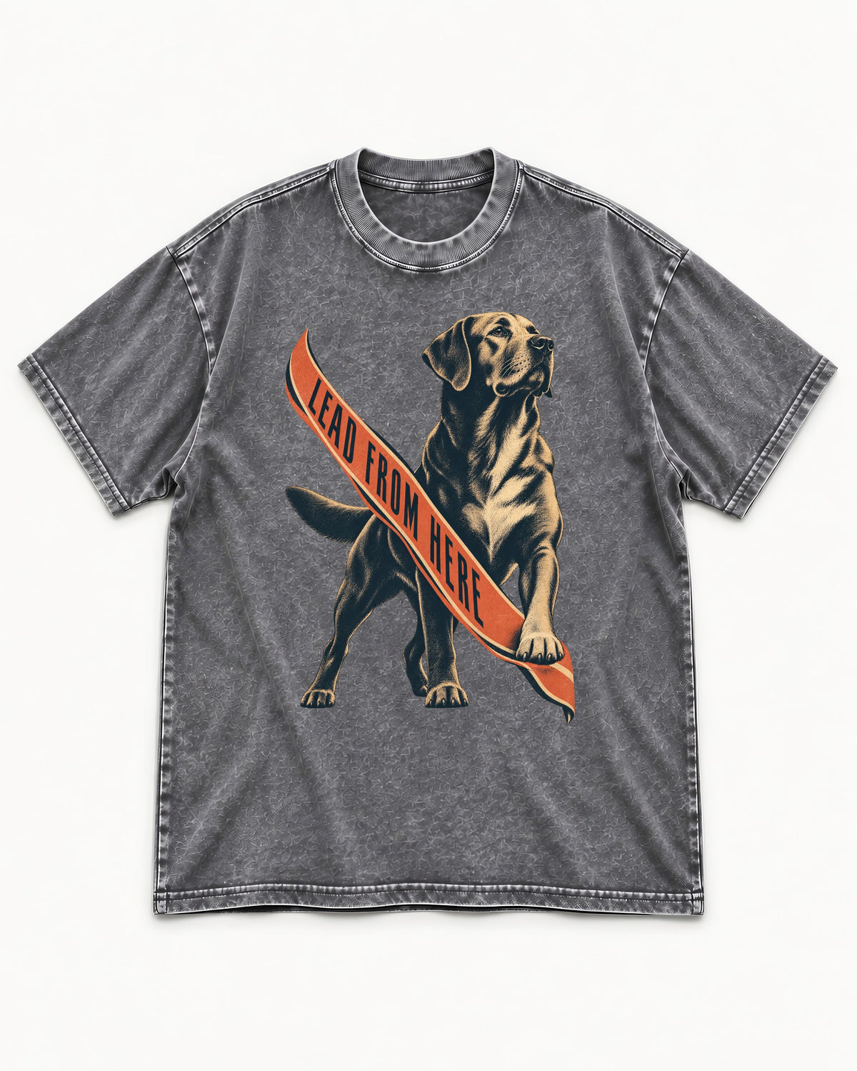 Lead From Here Labrador Retriever Washed Tee in Gray, flat lay product photo