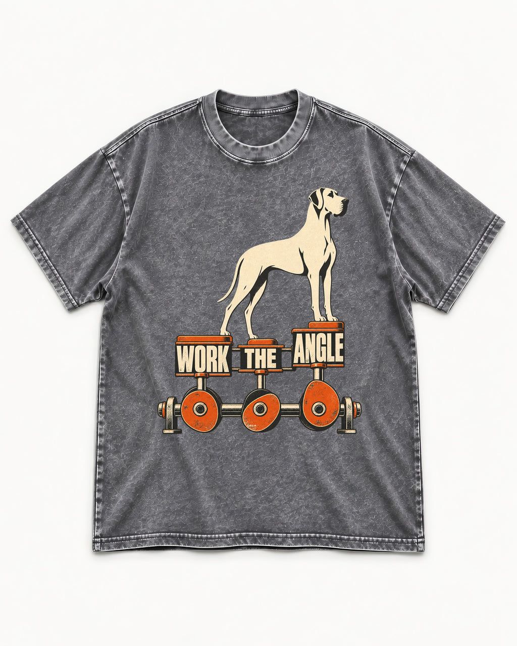 Great Dane Work the Angle Washed Tee in Gray, flat lay product photo