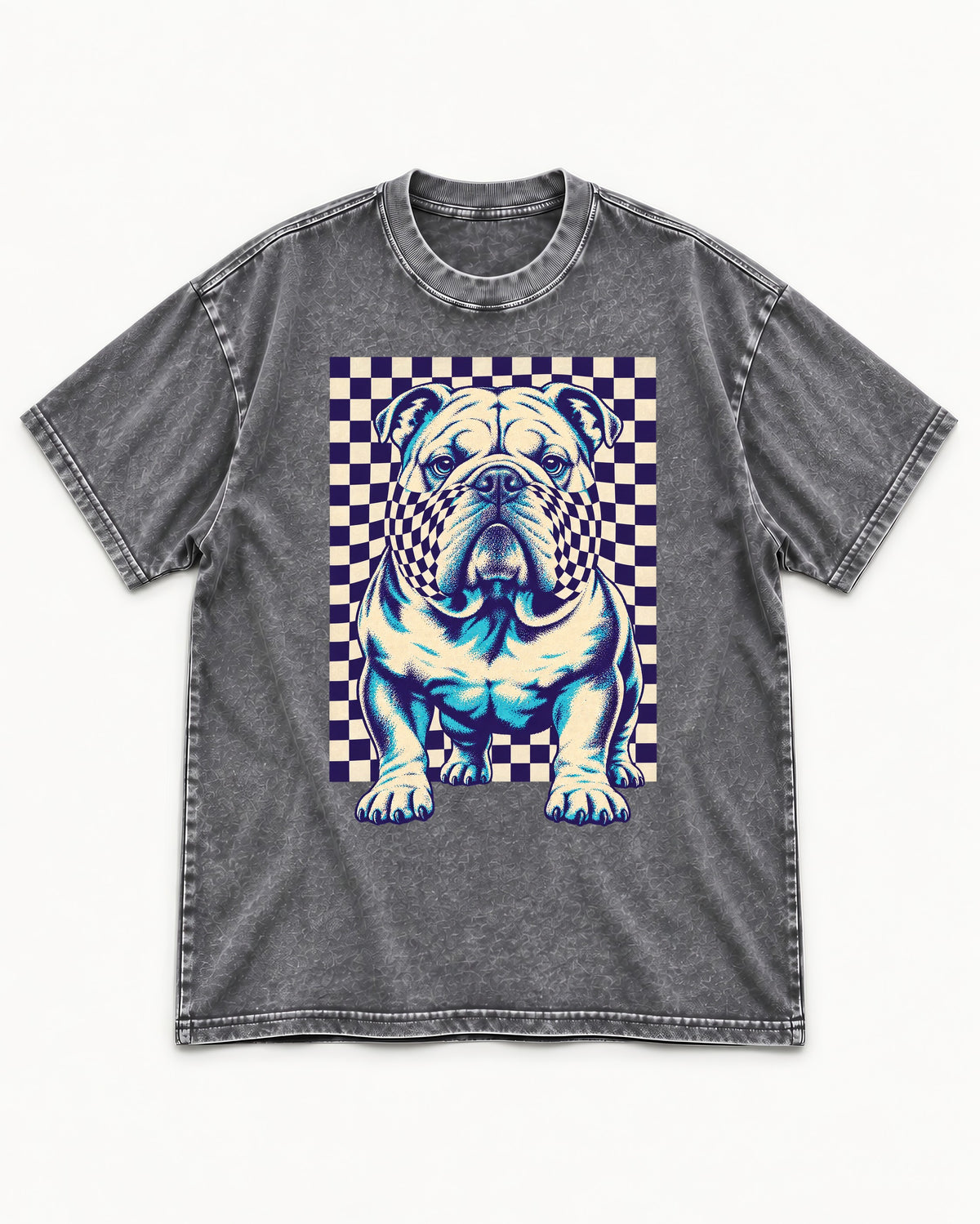 English Bulldog Double Take Washed Tee in Gray, flat lay product photo