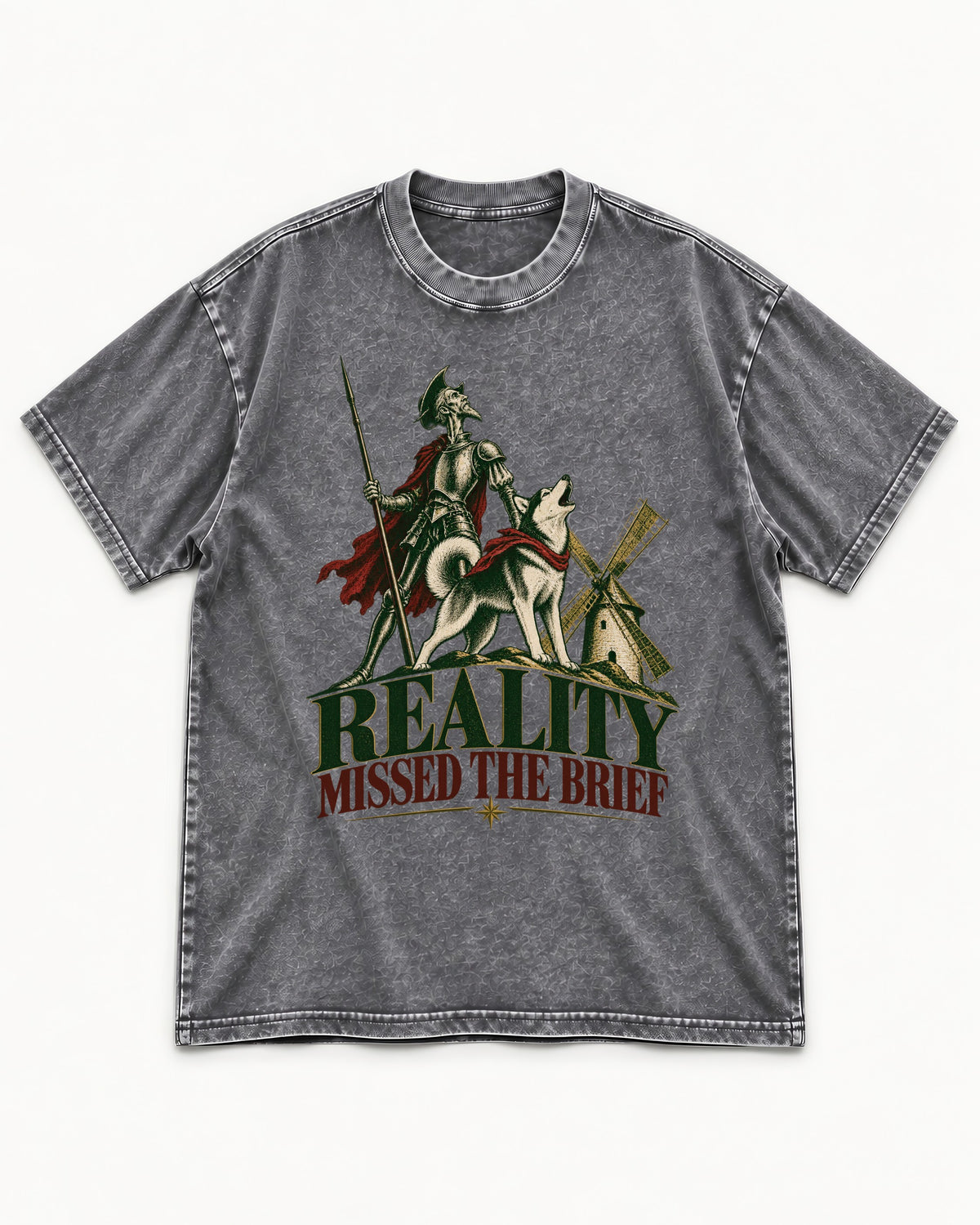Reality Missed the Husky Brief Washed Tee in Gray, flat lay product photo
