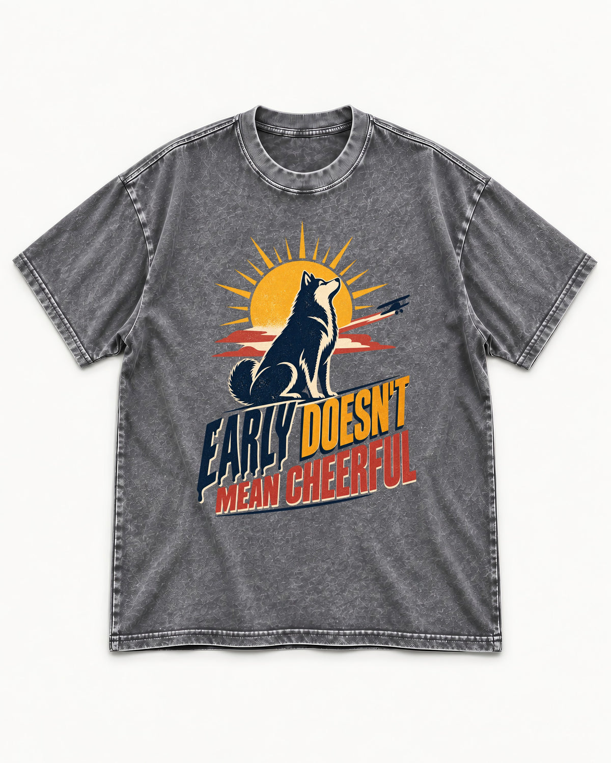 Husky Early Doesnt Mean Cheerful Sunrise Airplane Graphic Washed Tee in Gray, flat lay product photo