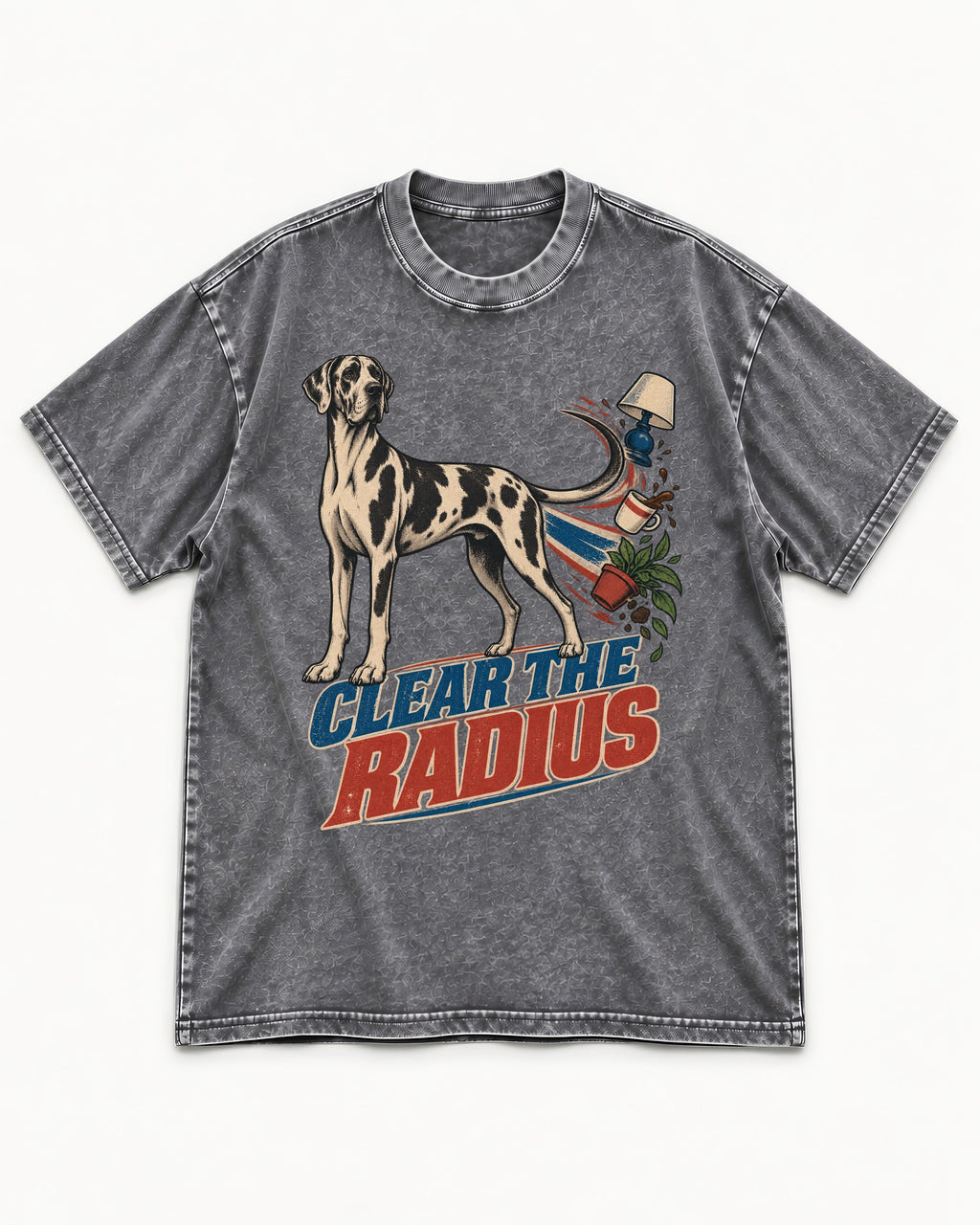 Great Dane Clear the Radius Washed Tee in Gray, flat lay product photo