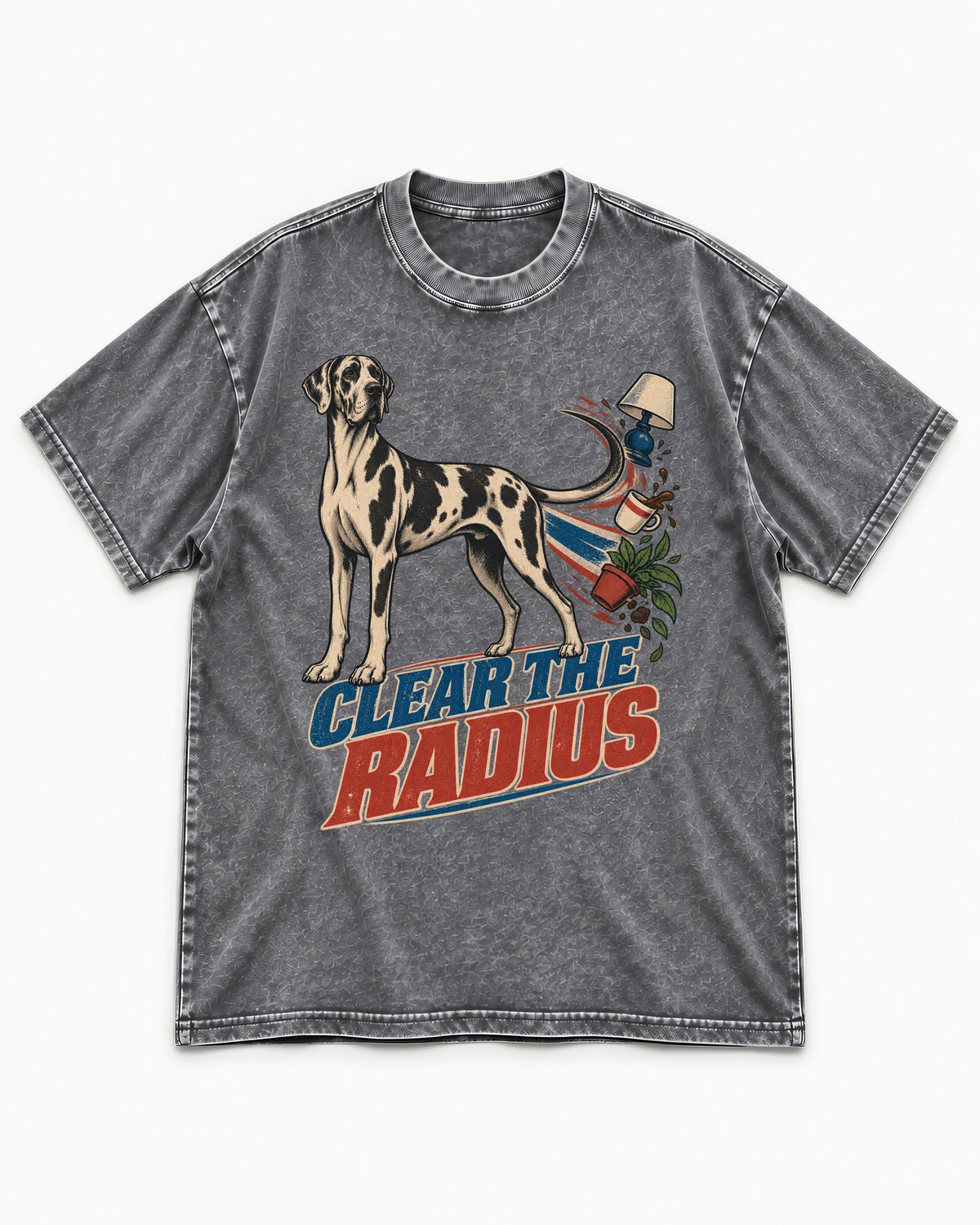 Great Dane Clear the Radius Washed Tee in Gray, flat lay product photo