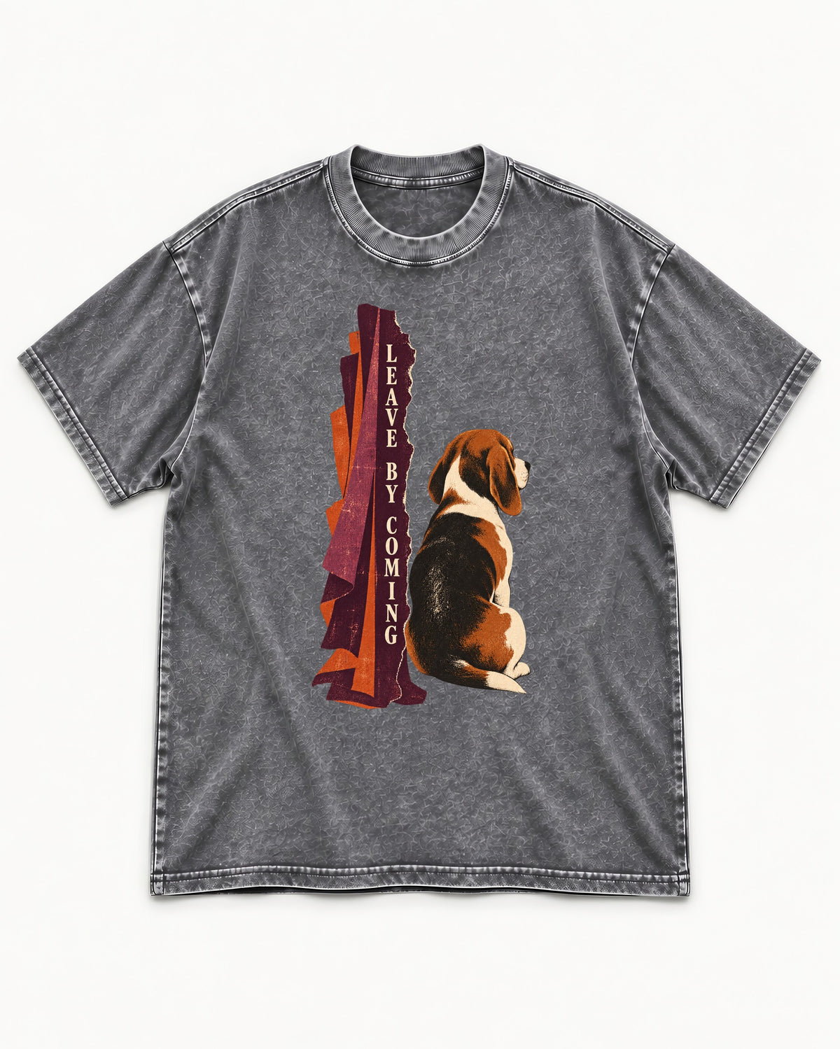 Leave By Coming Beagle Companion Washed Tee in Gray, flat lay product photo
