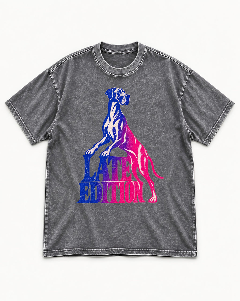 Great Dane Latest Edition Gradient Graphic Washed Tee in Gray, flat lay product photo