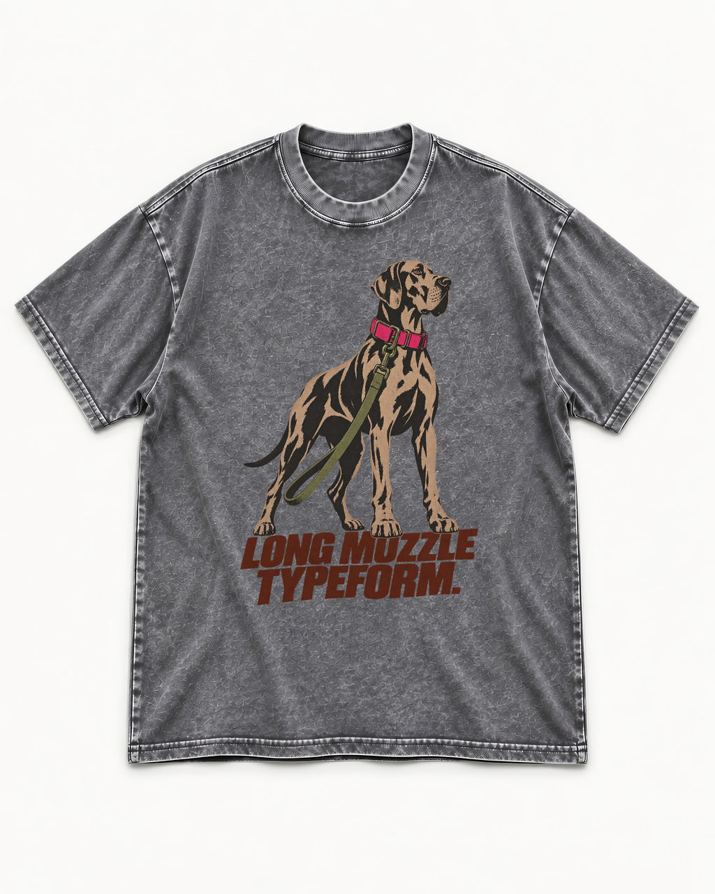 Long Muzzle Typeform Great Dane Washed Tee in Gray, flat lay product photo