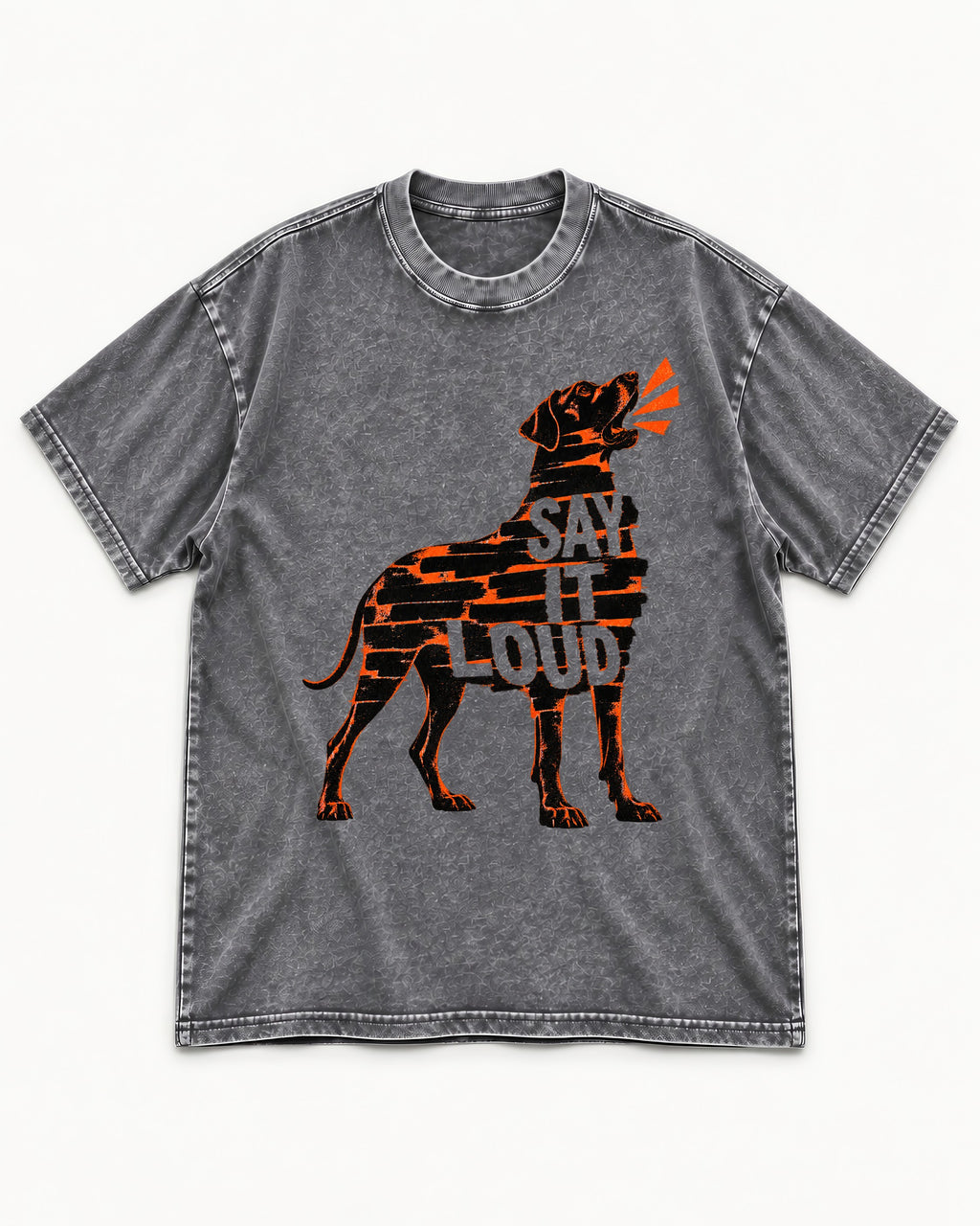 Great Dane Say It Loud Washed Tee in Gray, flat lay product photo