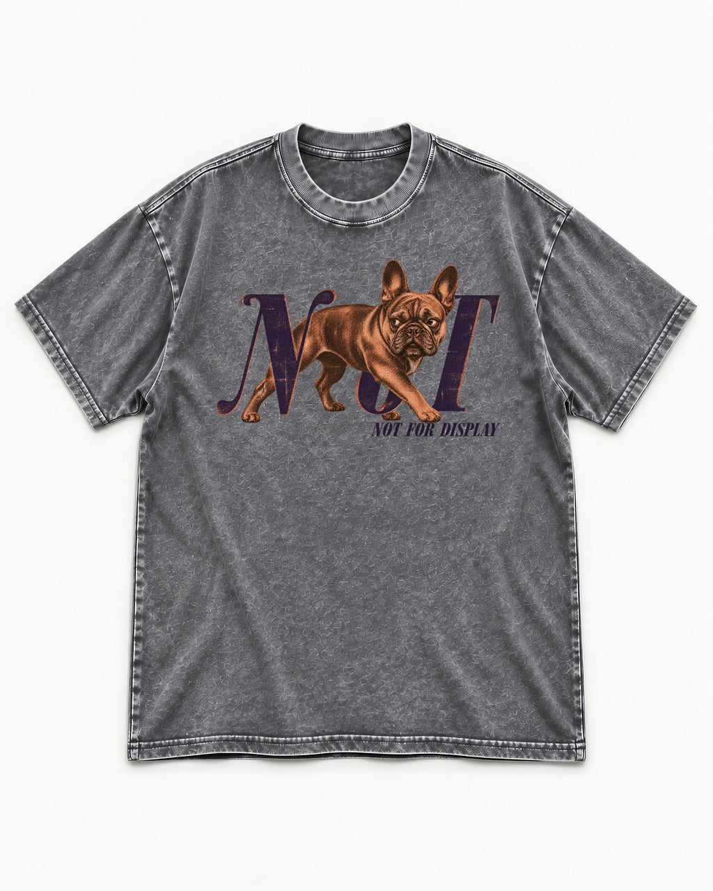 Frenchie Not For Display Graphic Washed Tee in Gray, flat lay product photo