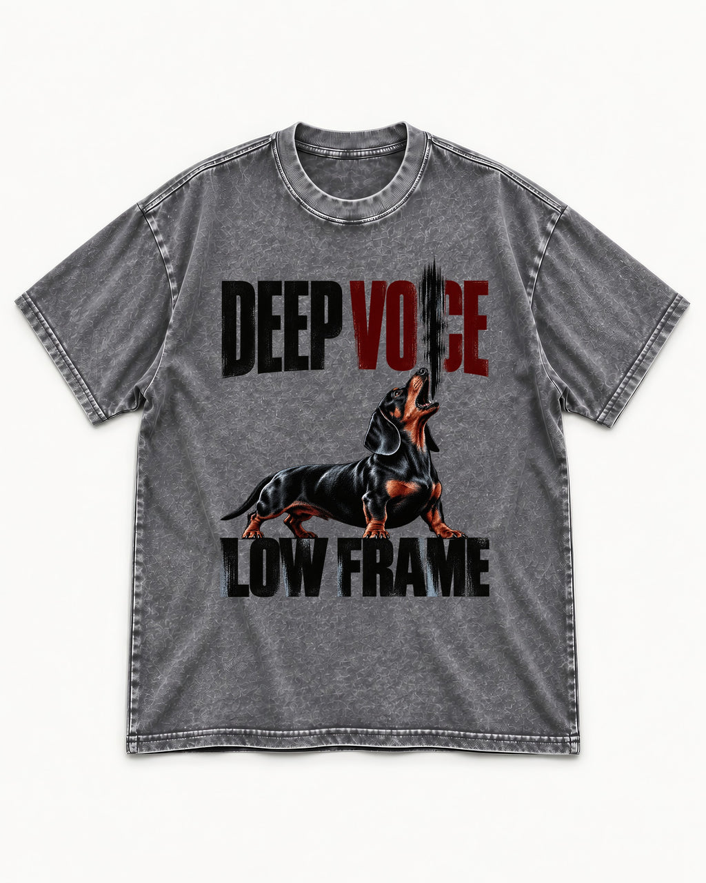 Deep Voice Low Frame Dachshund Washed Tee in Gray, flat lay product photo