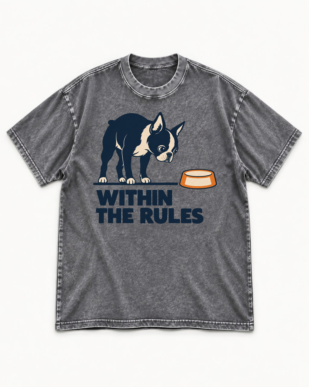 Within the Rules Boston Terrier Washed Tee in Gray, flat lay product photo