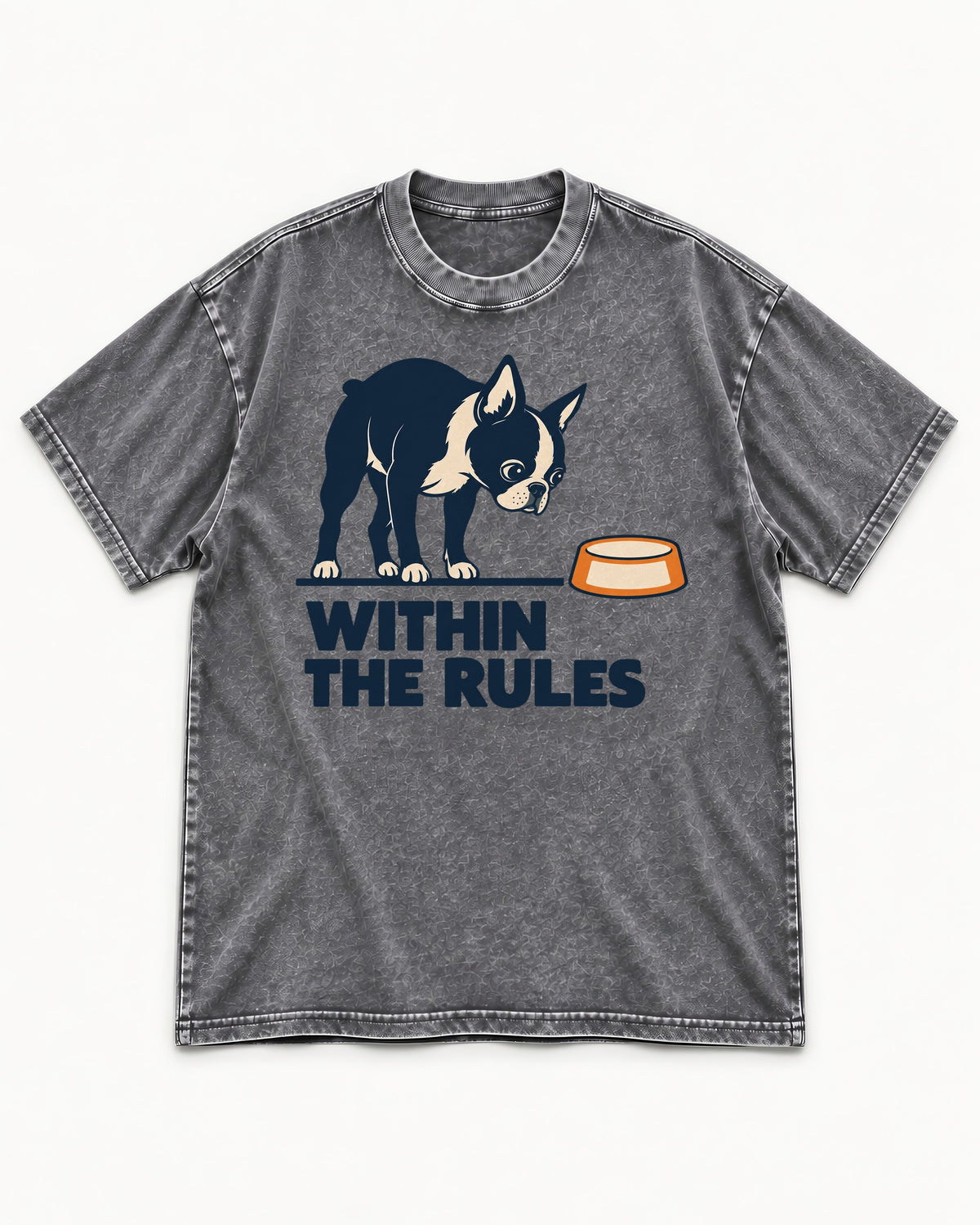 Within the Rules Boston Terrier Washed Tee in Gray, flat lay product photo
