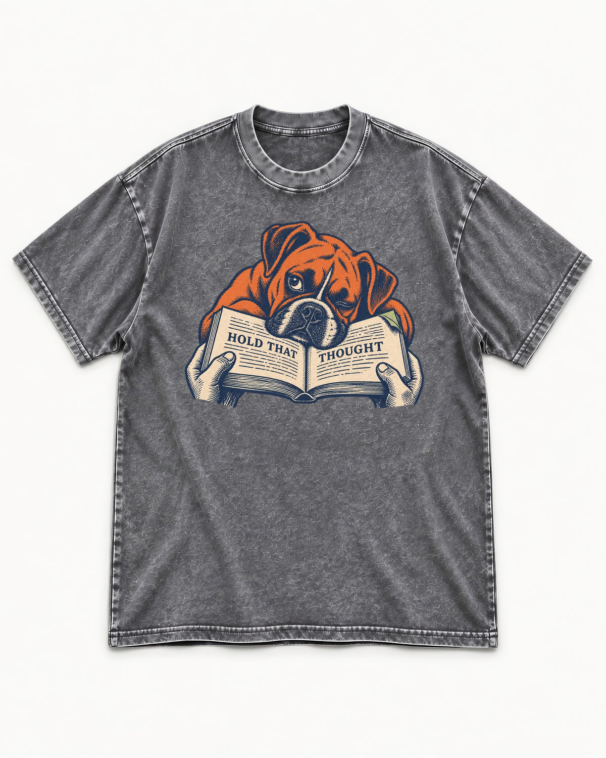 Boxer Hold That Thought Washed Tee in Gray, flat lay product photo