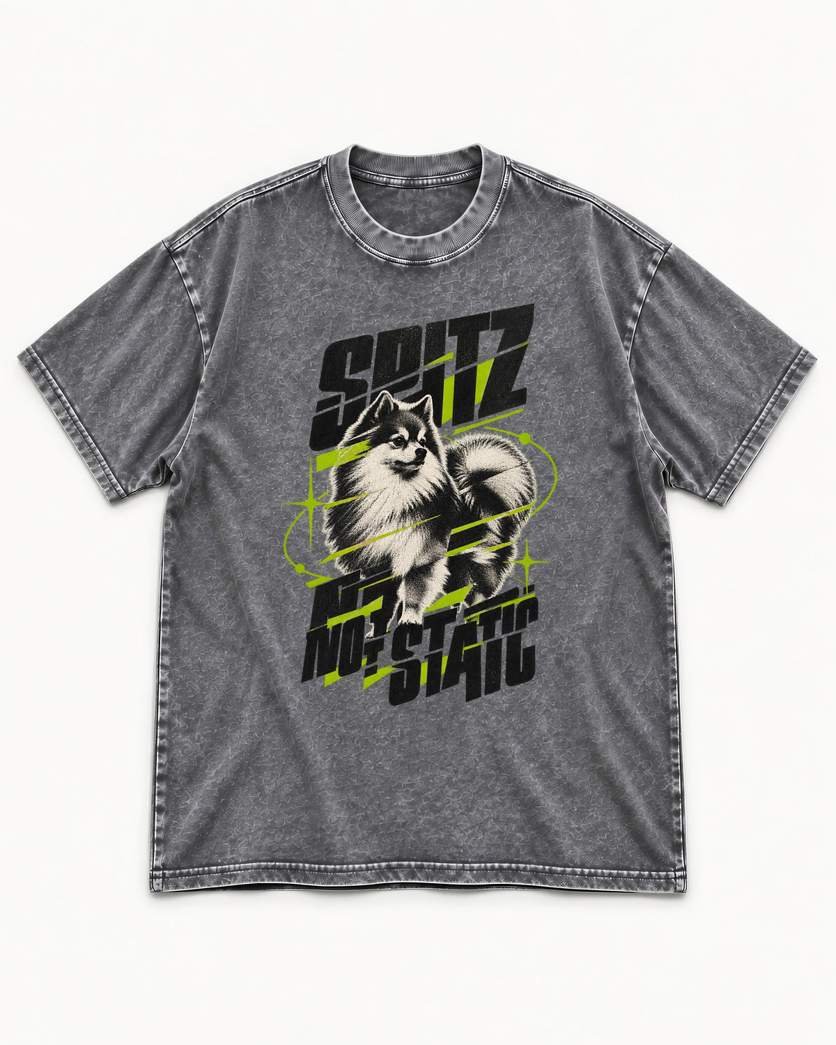 Pomeranian Not Static Washed Tee in Gray, flat lay product photo