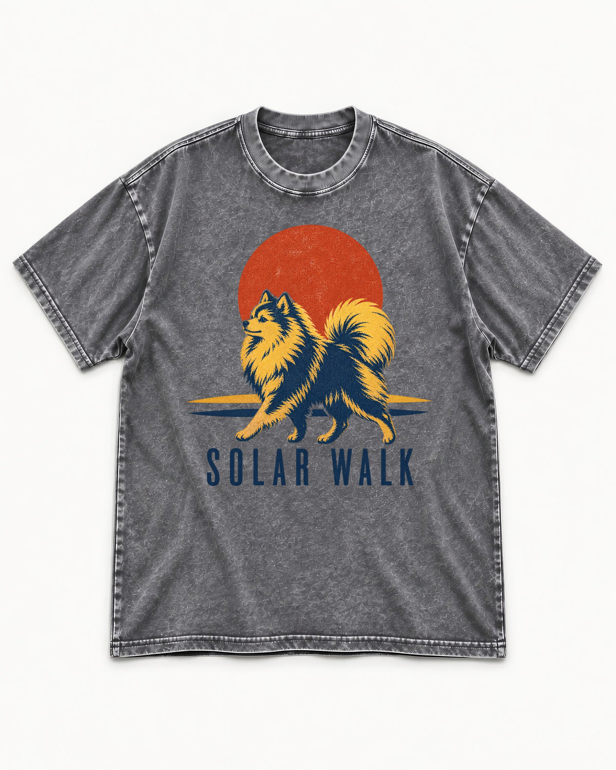 Pomeranian Solar Walk Washed Tee in Gray, flat lay product photo