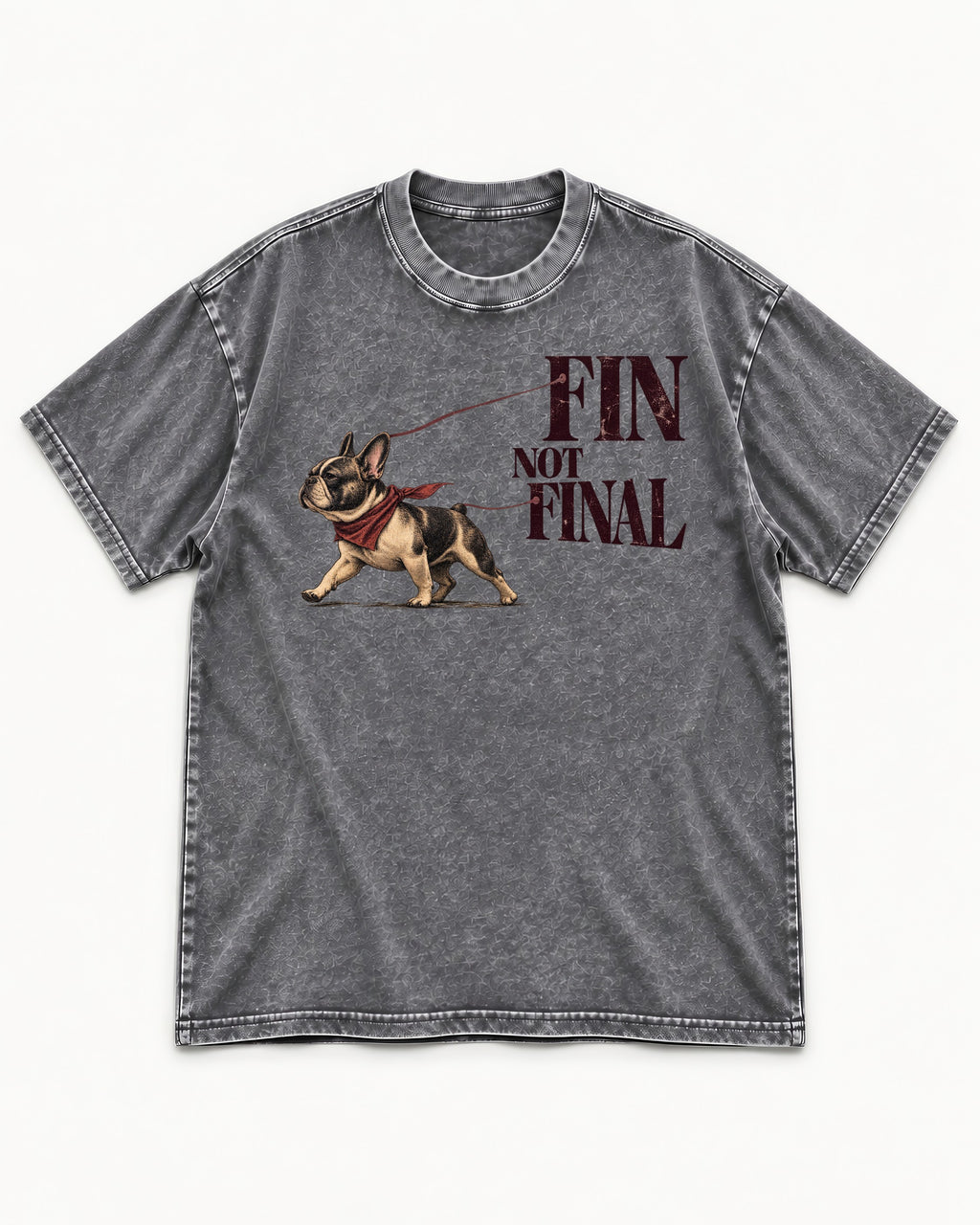 Frenchie Fin Not Final Washed Tee in Gray, flat lay product photo