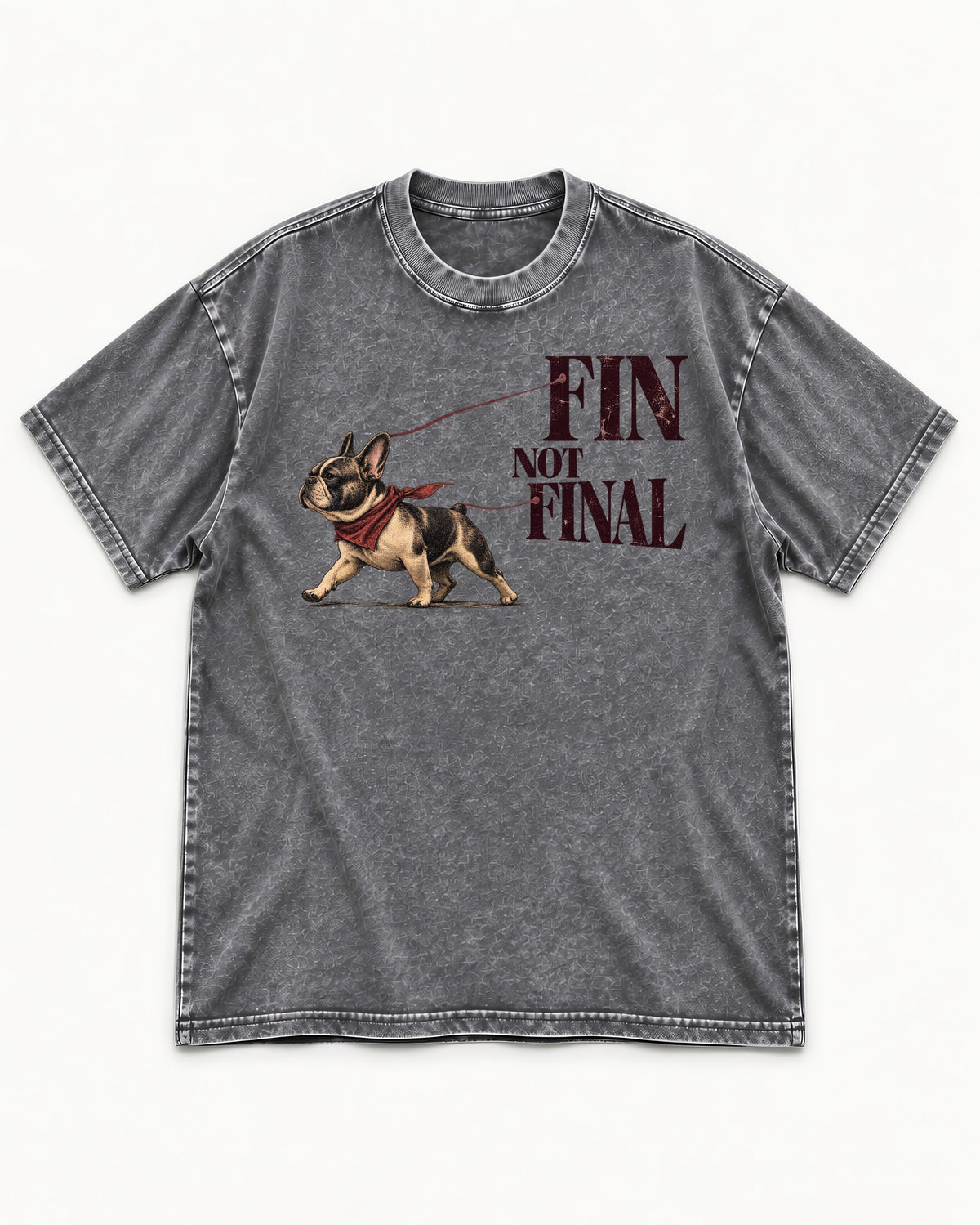 Frenchie Fin Not Final Washed Tee in Gray, flat lay product photo