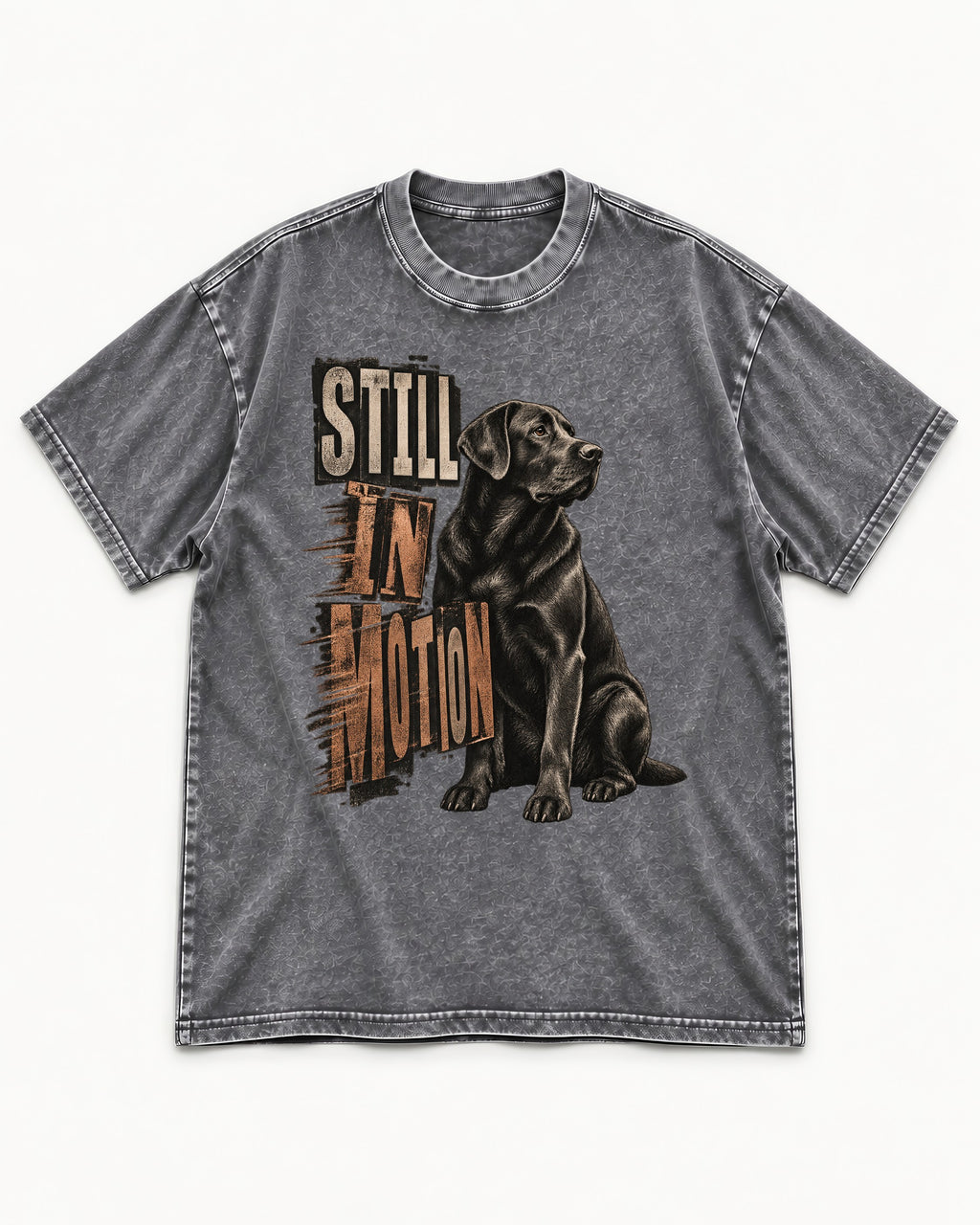 Labrador Retriever Still in Motion Seated Graphic Washed Tee in Gray, flat lay product photo