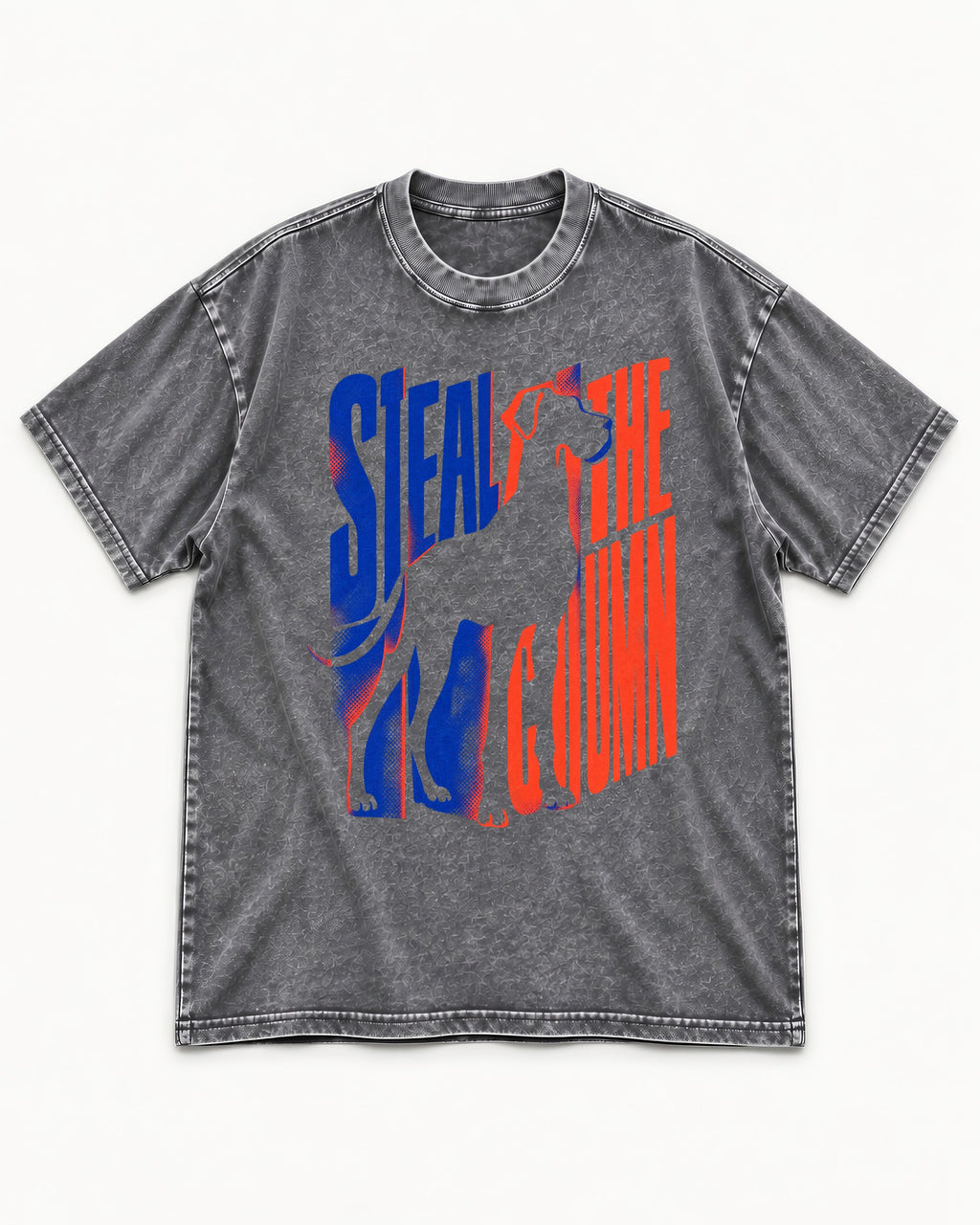 Steal the Show Great Dane Washed Tee in Gray, flat lay product photo