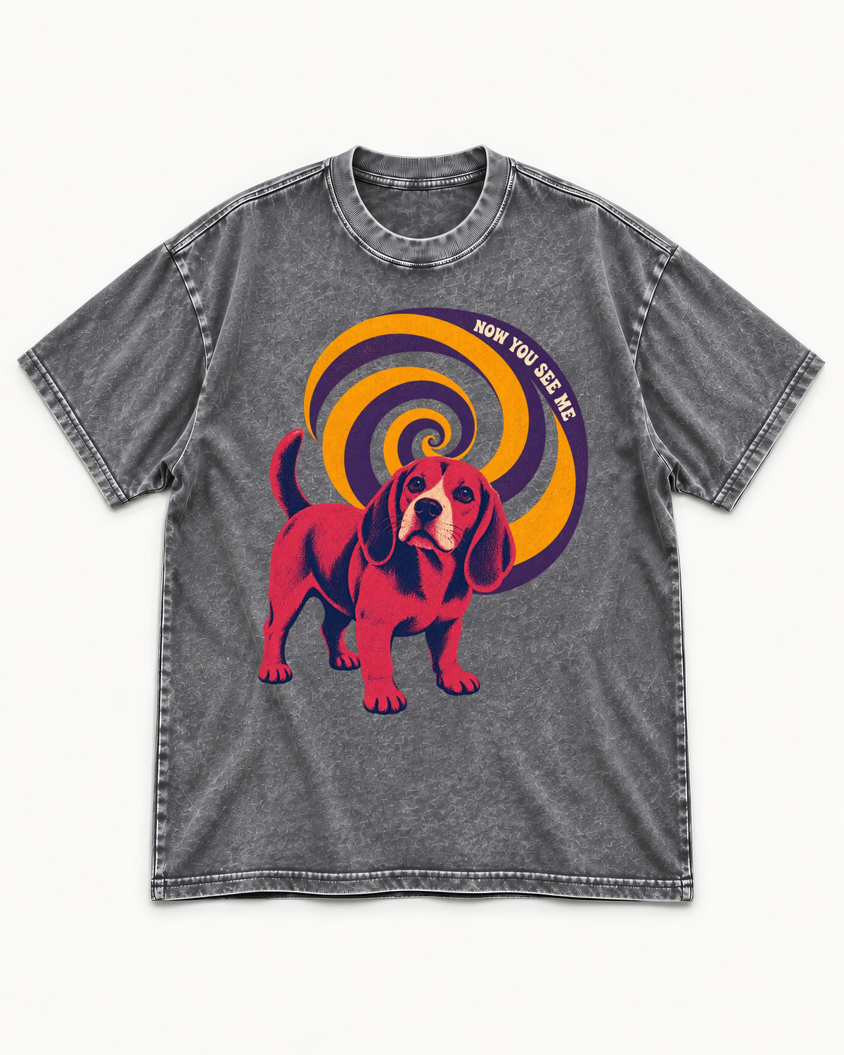 Now You See Me Beagle Spiral Washed Tee in Gray, flat lay product photo