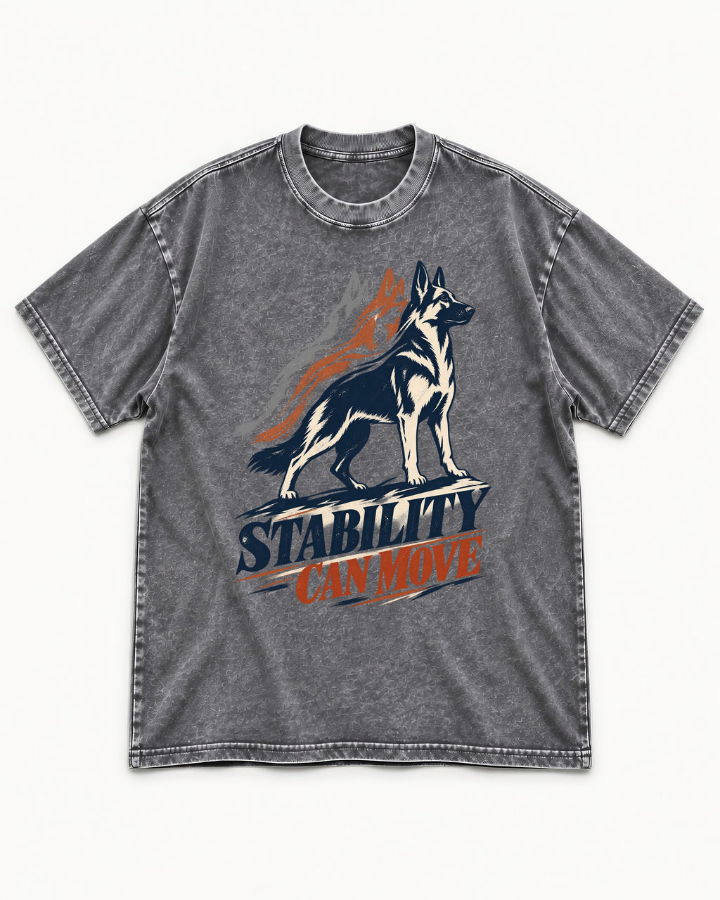 Stability Can Move German Shepherd Dog Washed Tee in Gray, flat lay product photo