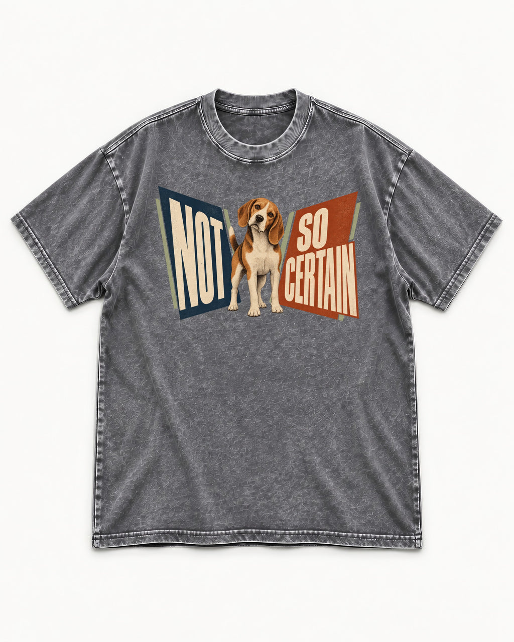Beagle Not So Certain Retro Panel Graphic Washed Tee in Gray, flat lay product photo