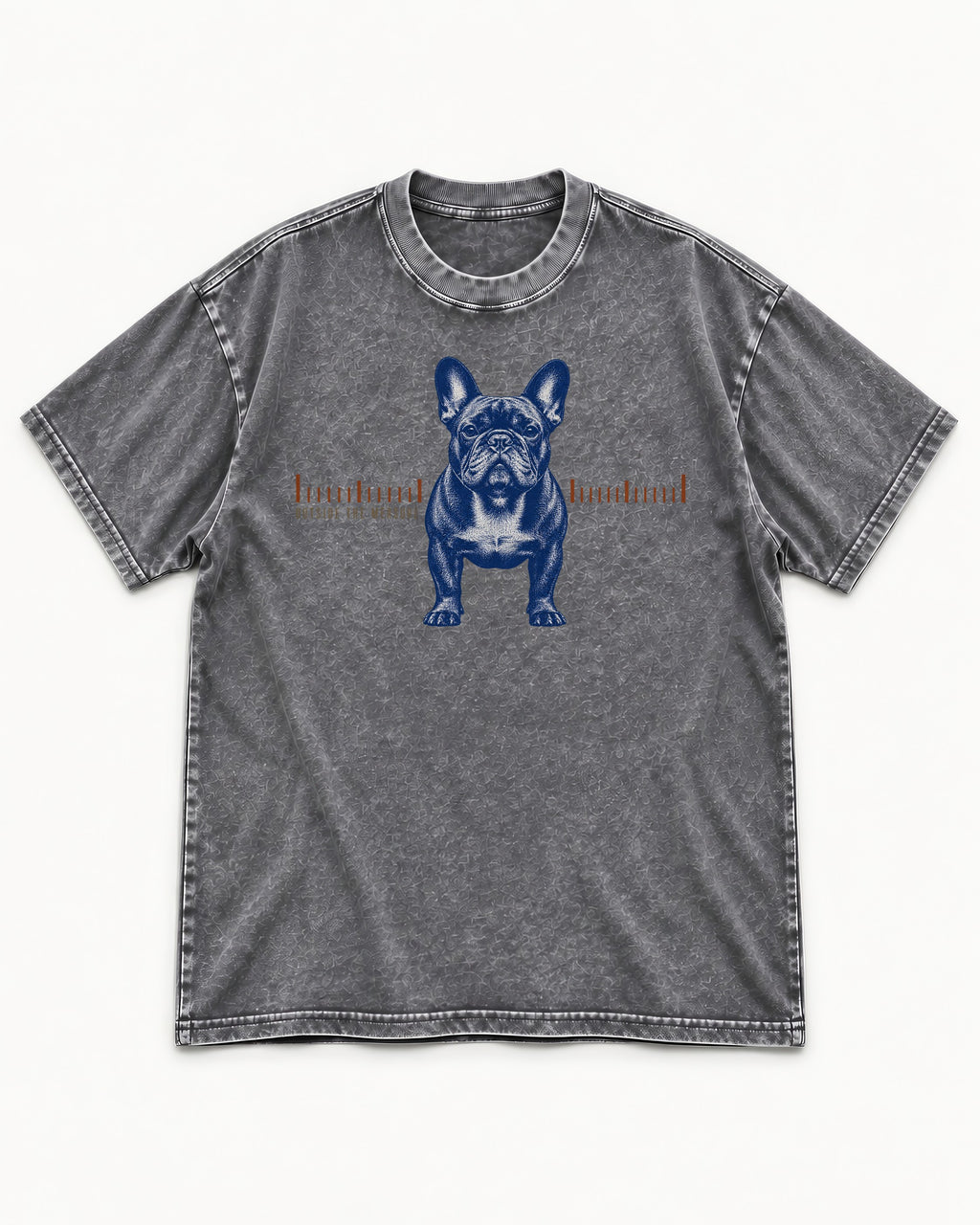 Frenchie Outside the Measure Washed Tee in Gray, flat lay product photo