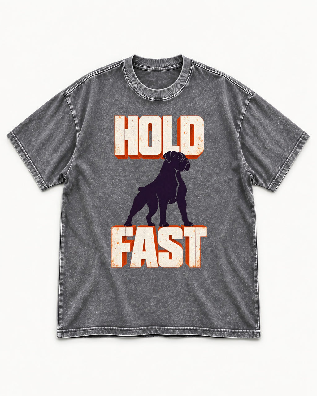 Hold Fast Boxer Typography Graphic Washed Tee in Gray, flat lay product photo