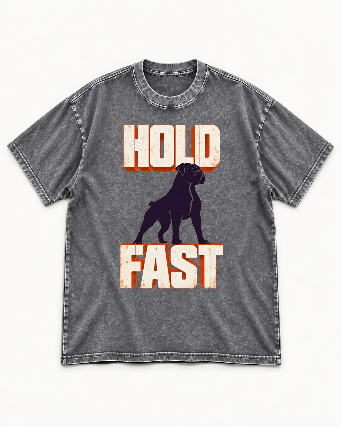 Hold Fast Boxer Typography Graphic Washed Tee in Gray, flat lay product photo