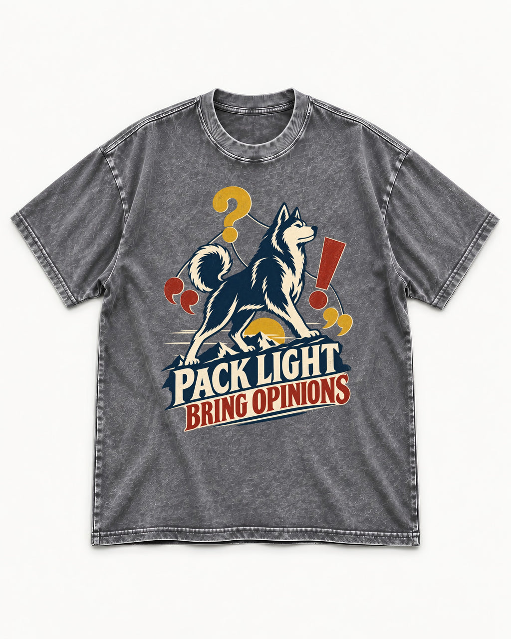Husky Pack Light Bring Opinions Washed Tee in Gray, flat lay product photo